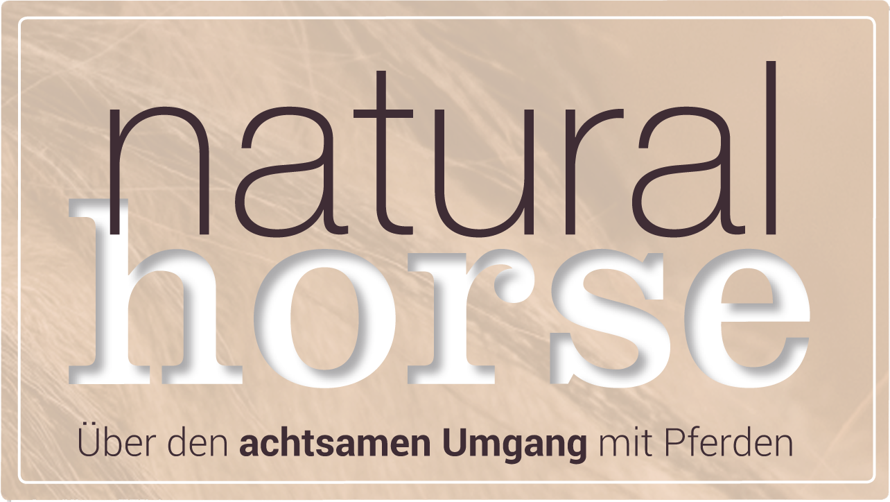 logo_NH